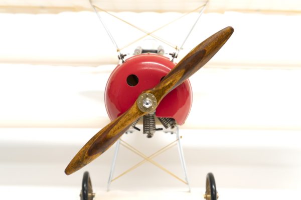 Triplane – Image 4