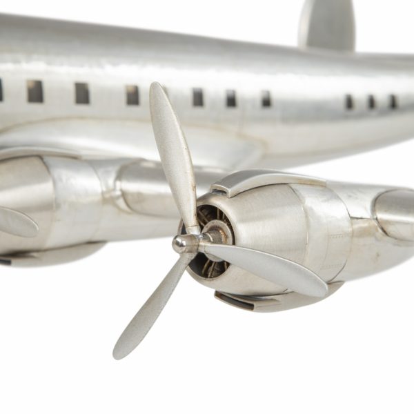 Connie – Image 8