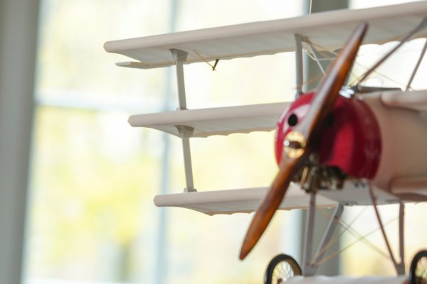 Triplane – Image 7